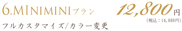 アメブロカスタマイズ｜ミニミニフルカスタマイズプラン